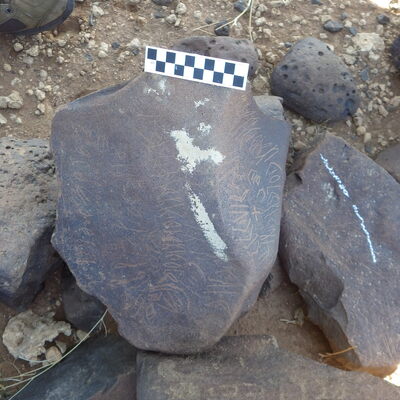 Image of siglum BES20 312