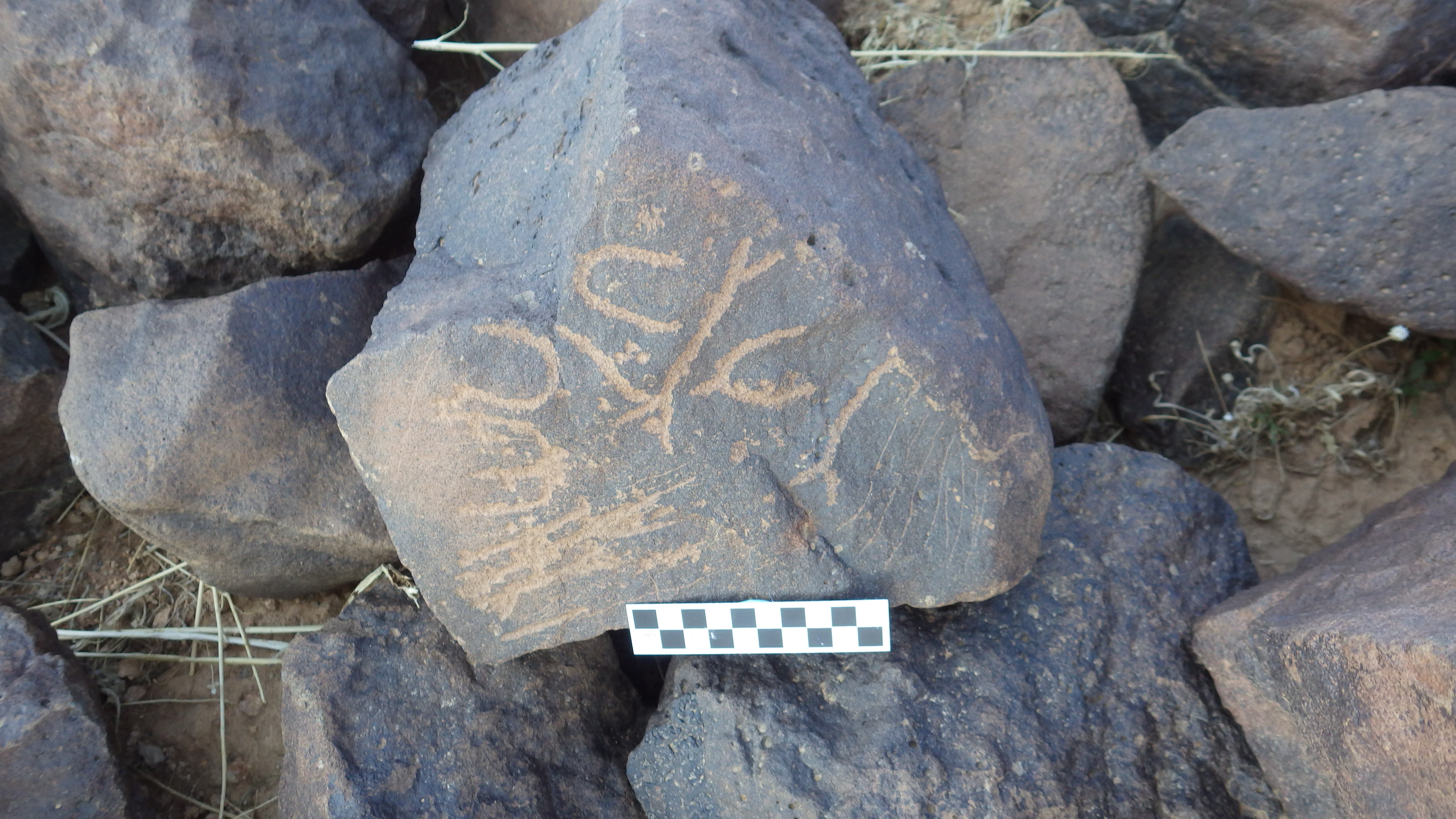 Image of siglum BES20 313
