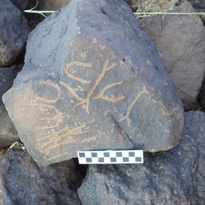 Image of siglum BES20 313