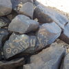 Image of siglum BES20 315