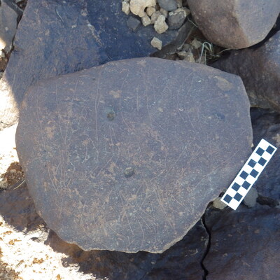Image of siglum BES20 316