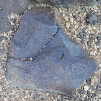 Image of siglum BES20 334