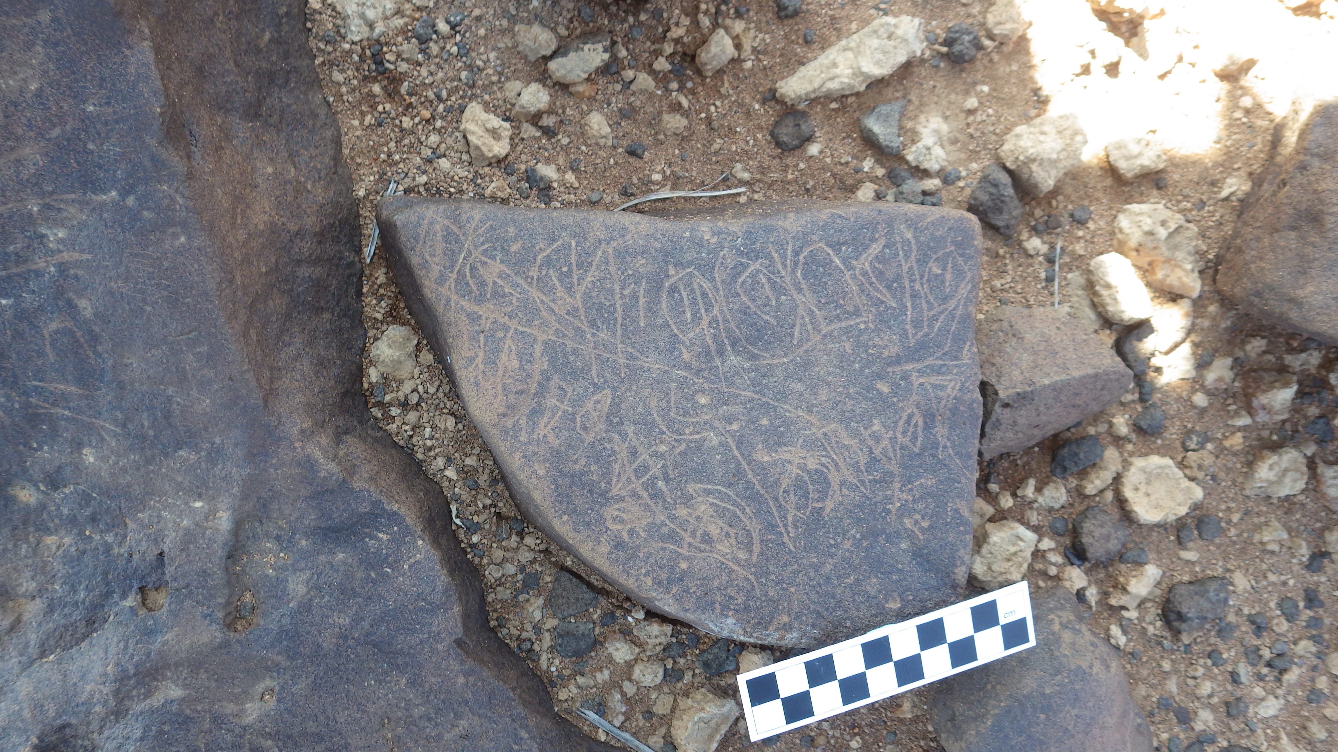 Image of siglum BES20 340