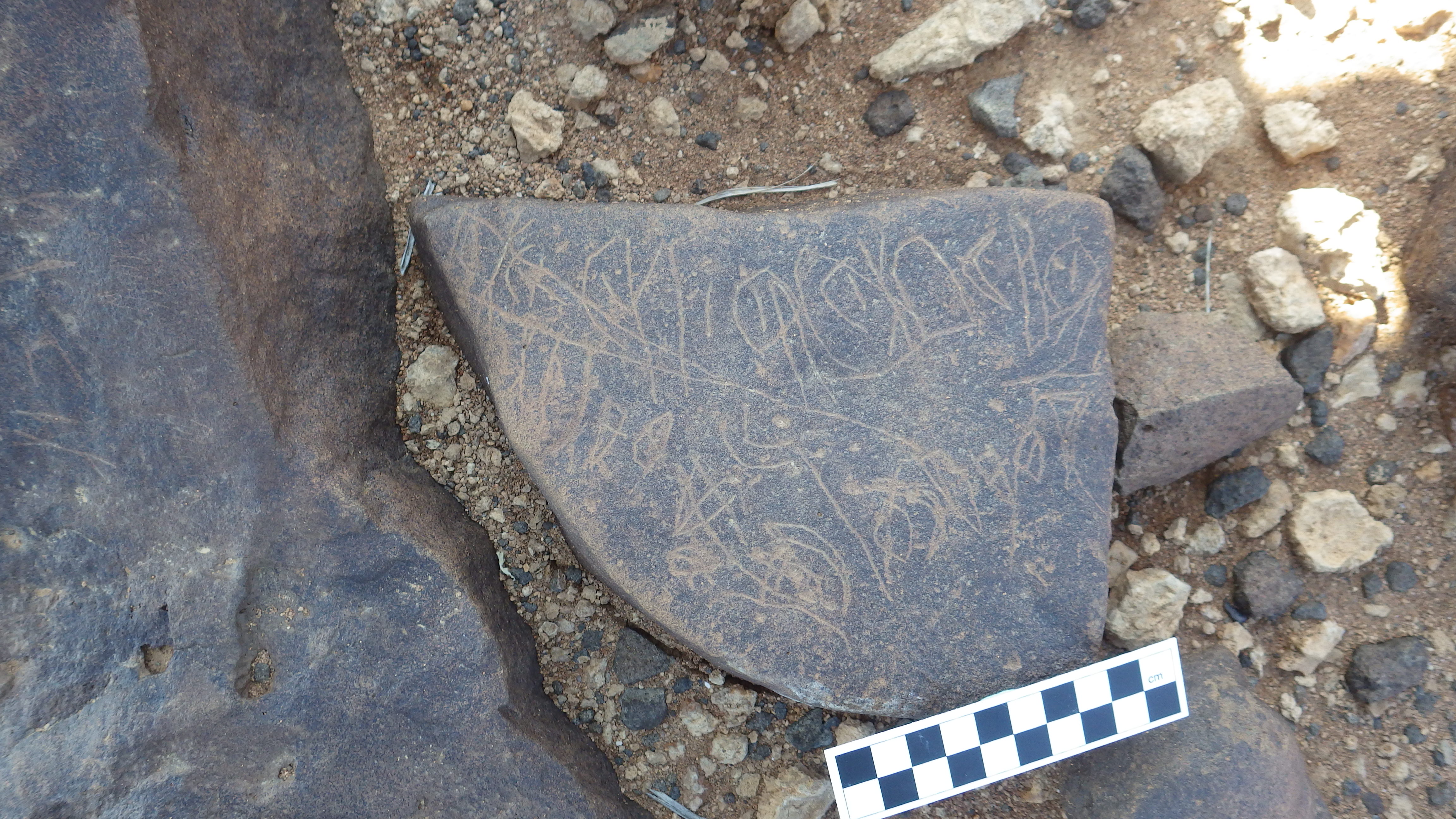 Image of siglum BES20 340