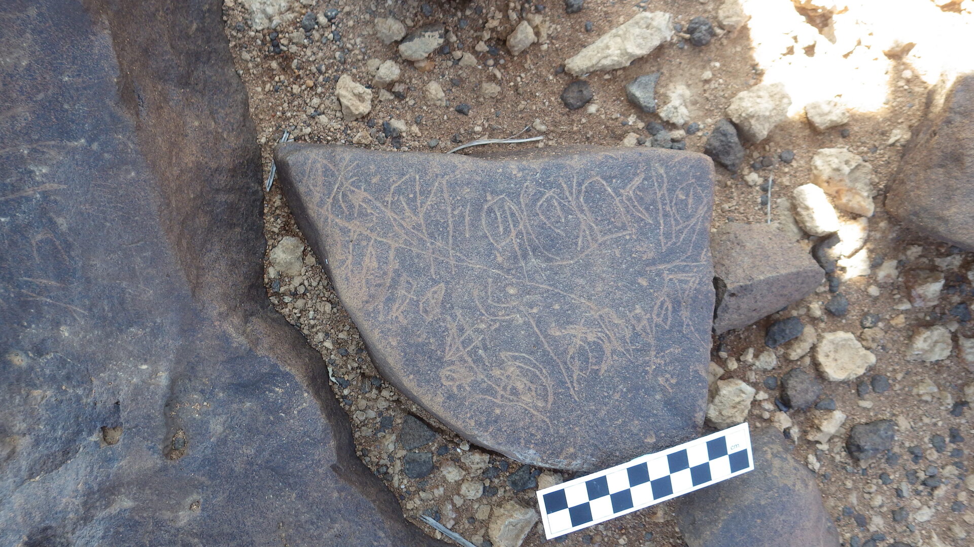Image of siglum BES20 340