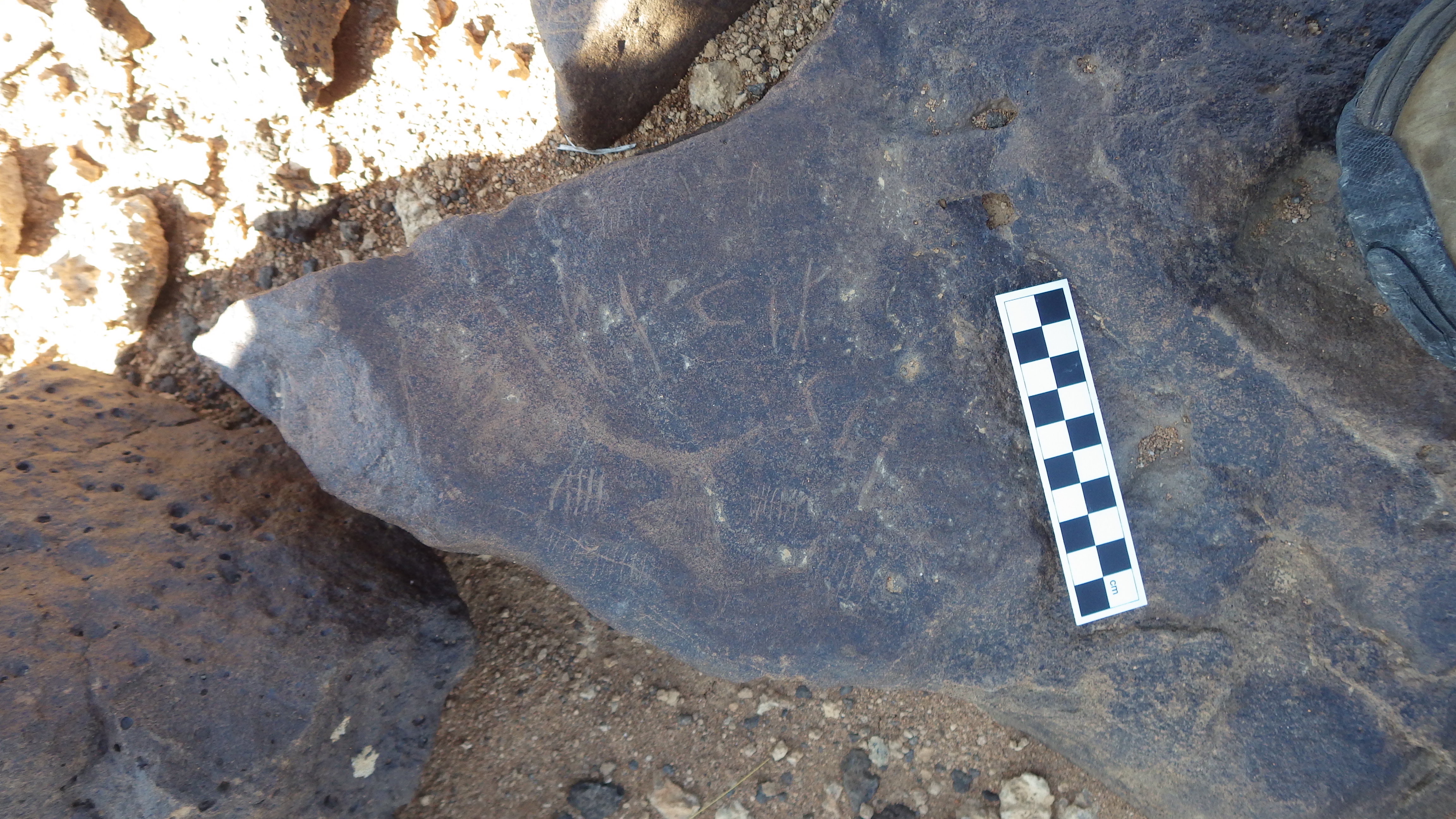 Image of siglum BES20 341