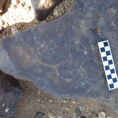 Image of siglum BES20 341