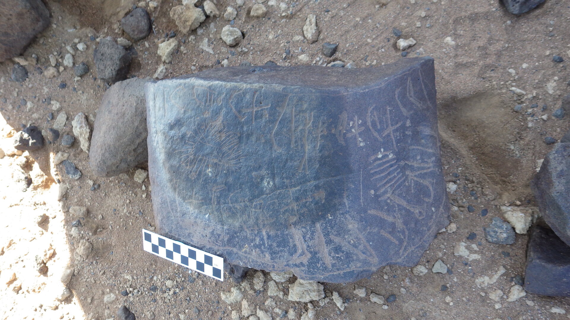 Image of siglum BES20 346