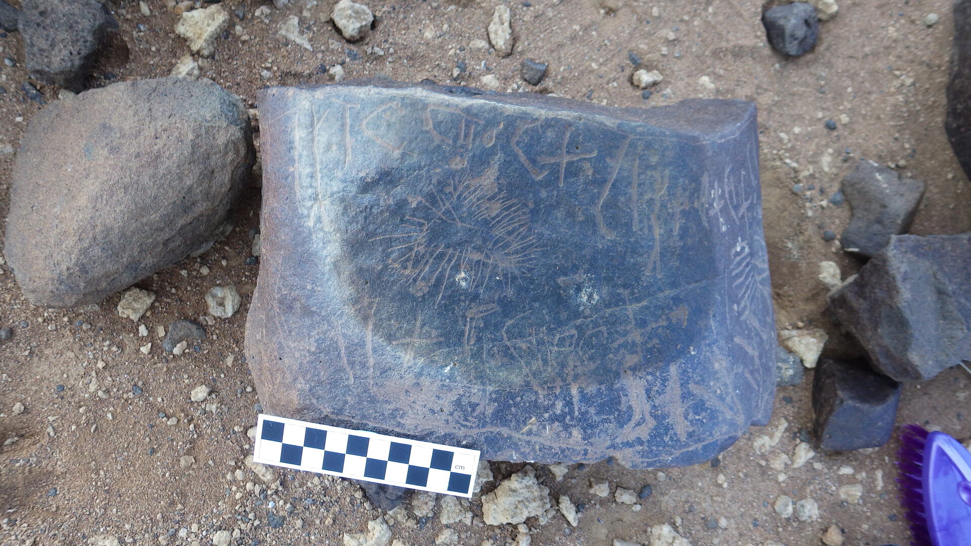 Image of siglum BES20 346