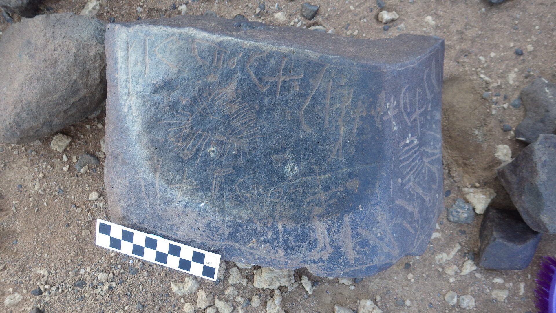Image of siglum BES20 346