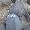 Image of siglum BES20 351
