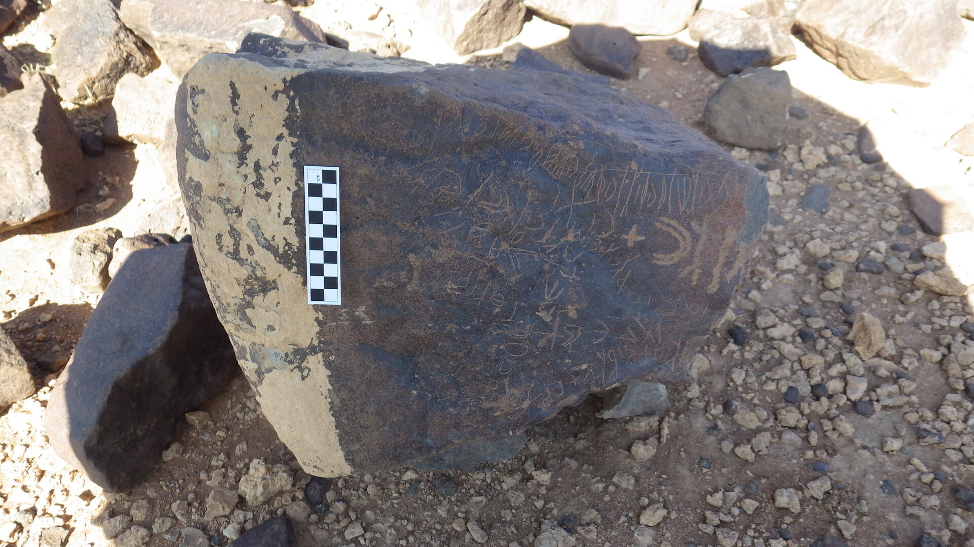 Image of siglum BES20 355