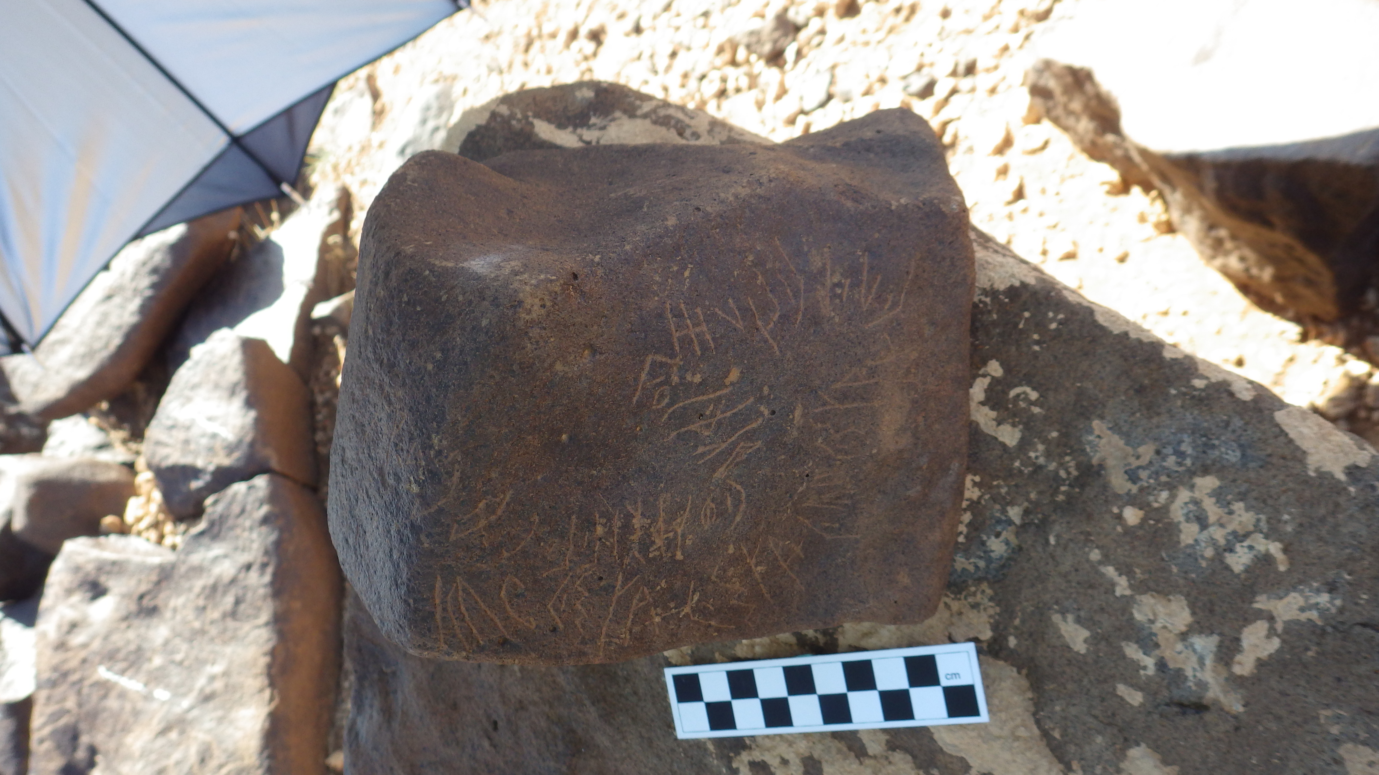 Image of siglum BES20 361