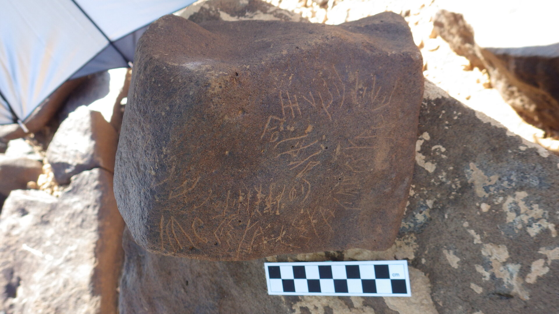 Image of siglum BES20 361