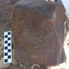 Image of siglum BES20 361