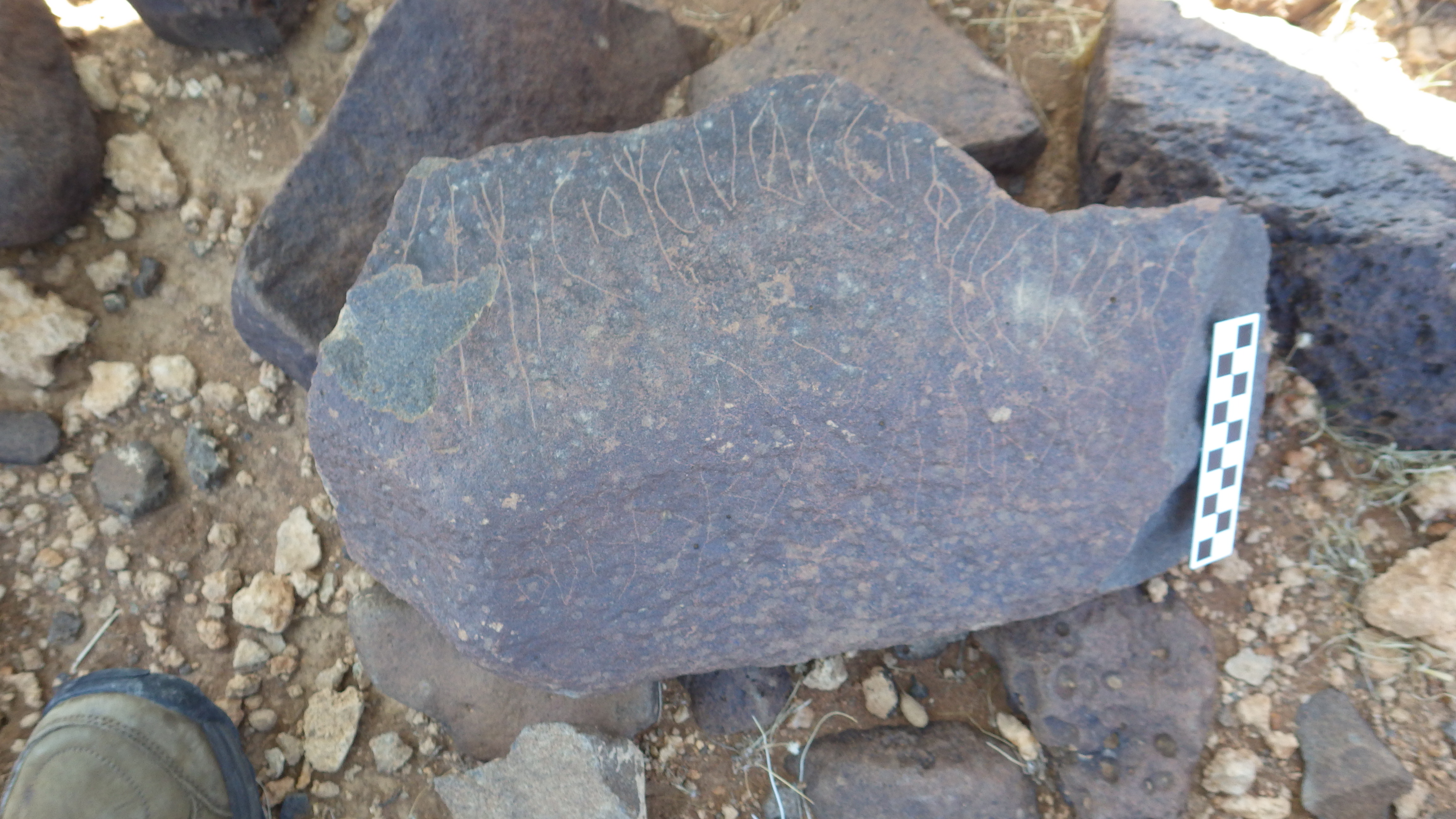 Image of siglum BES20 362