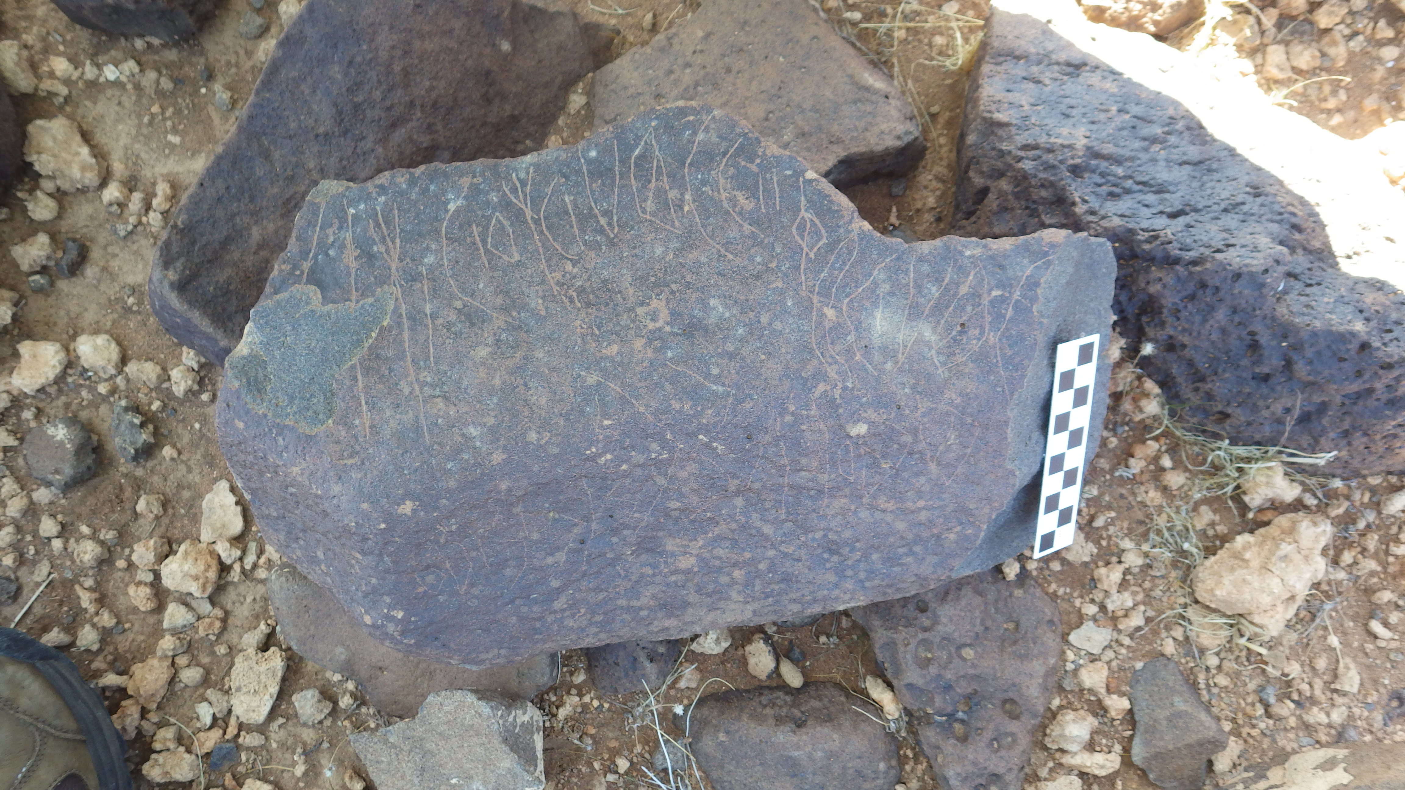 Image of siglum BES20 362
