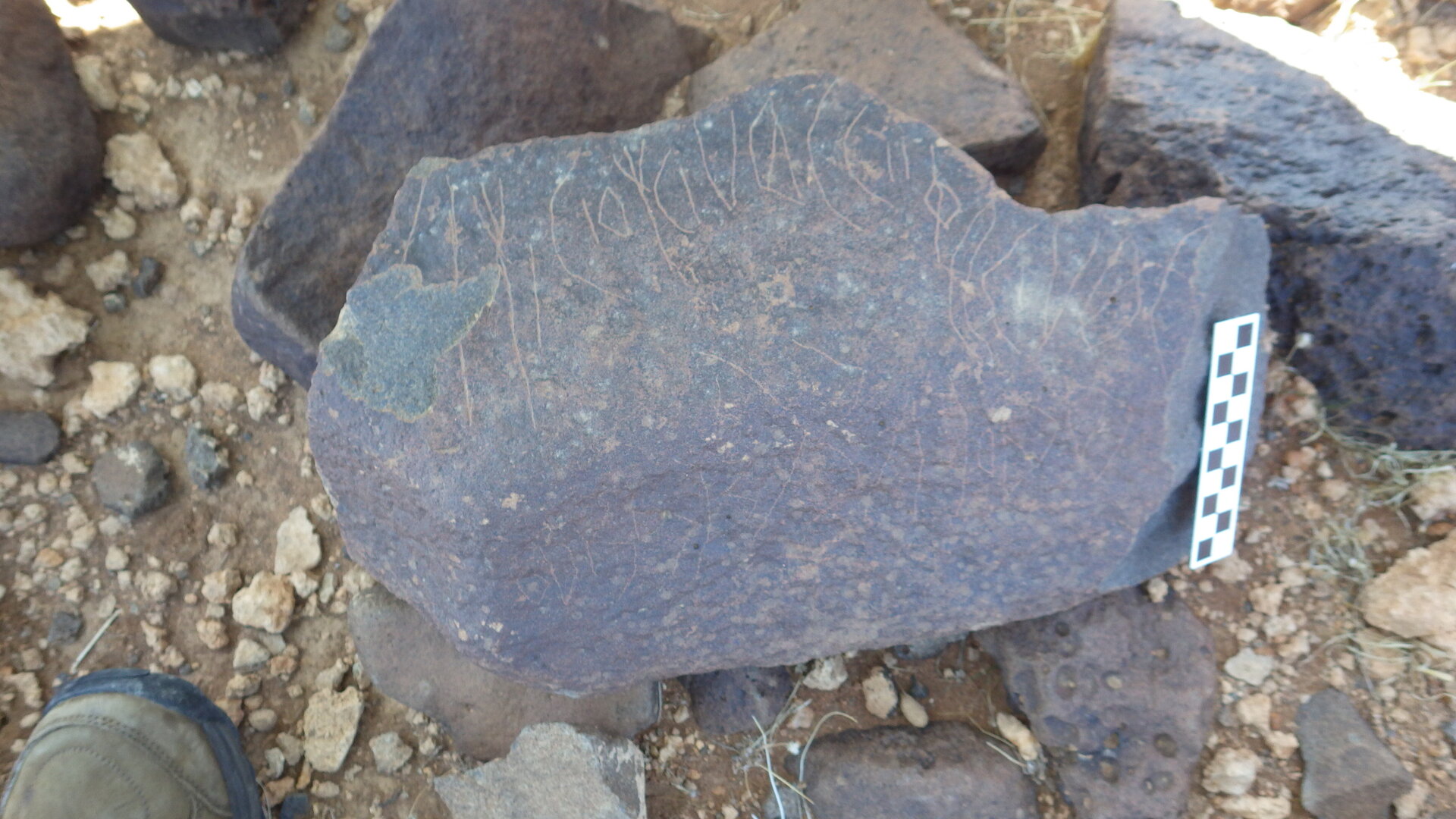 Image of siglum BES20 362