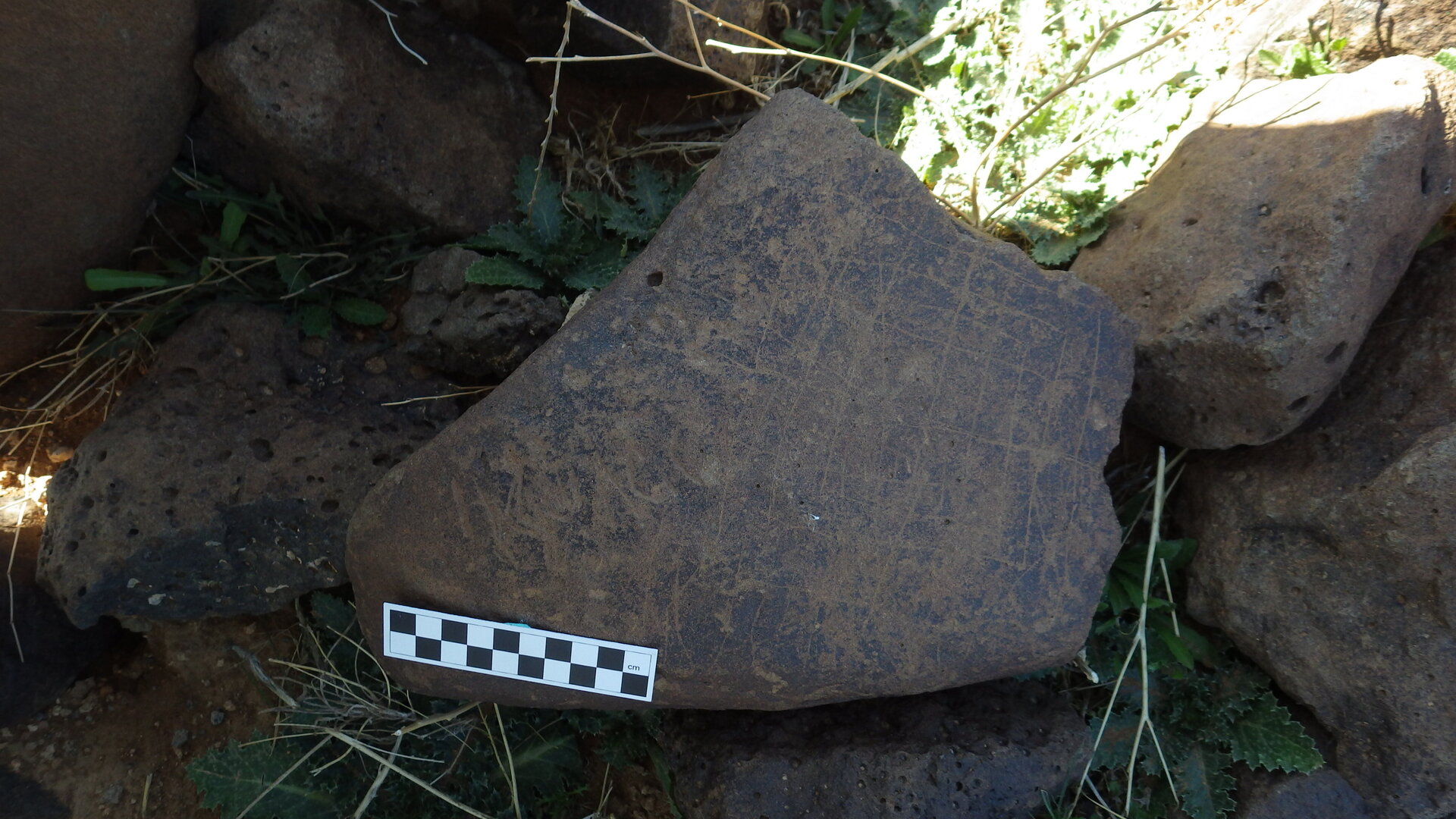 Image of siglum BES20 363
