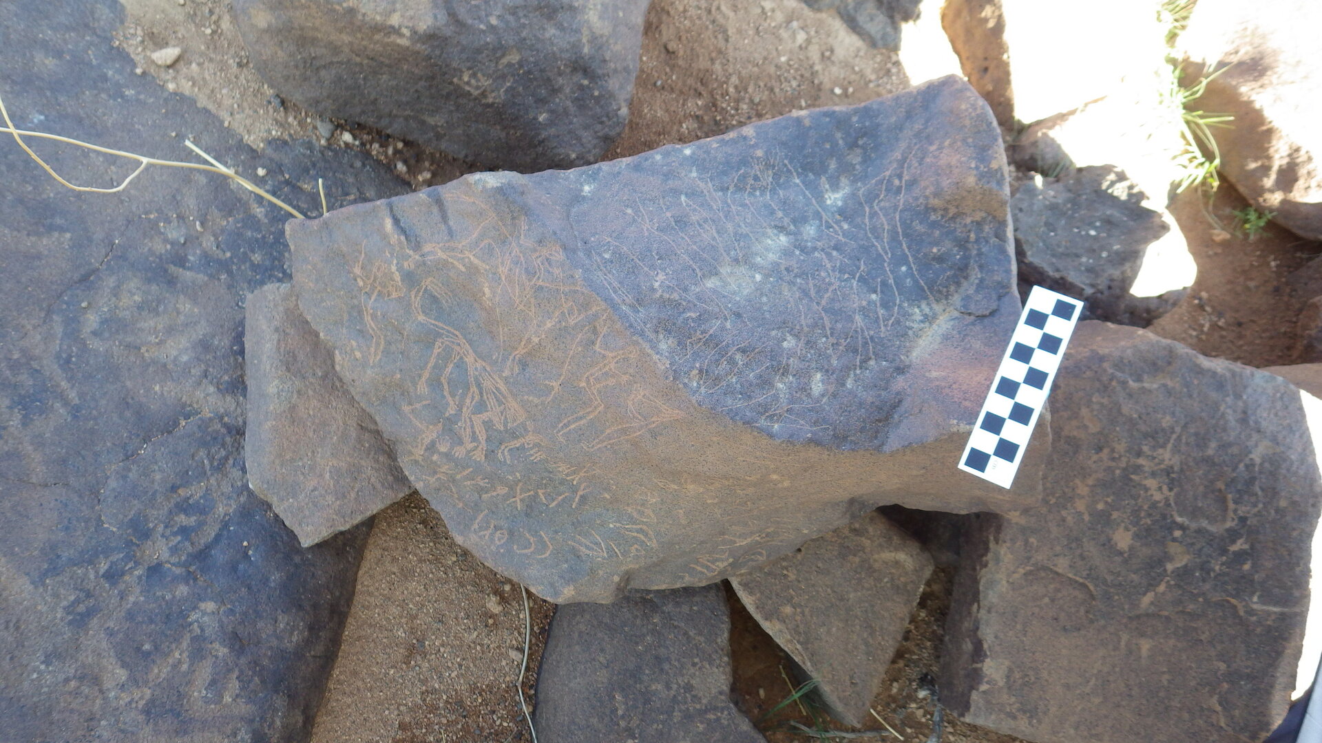 Image of siglum BES20 364