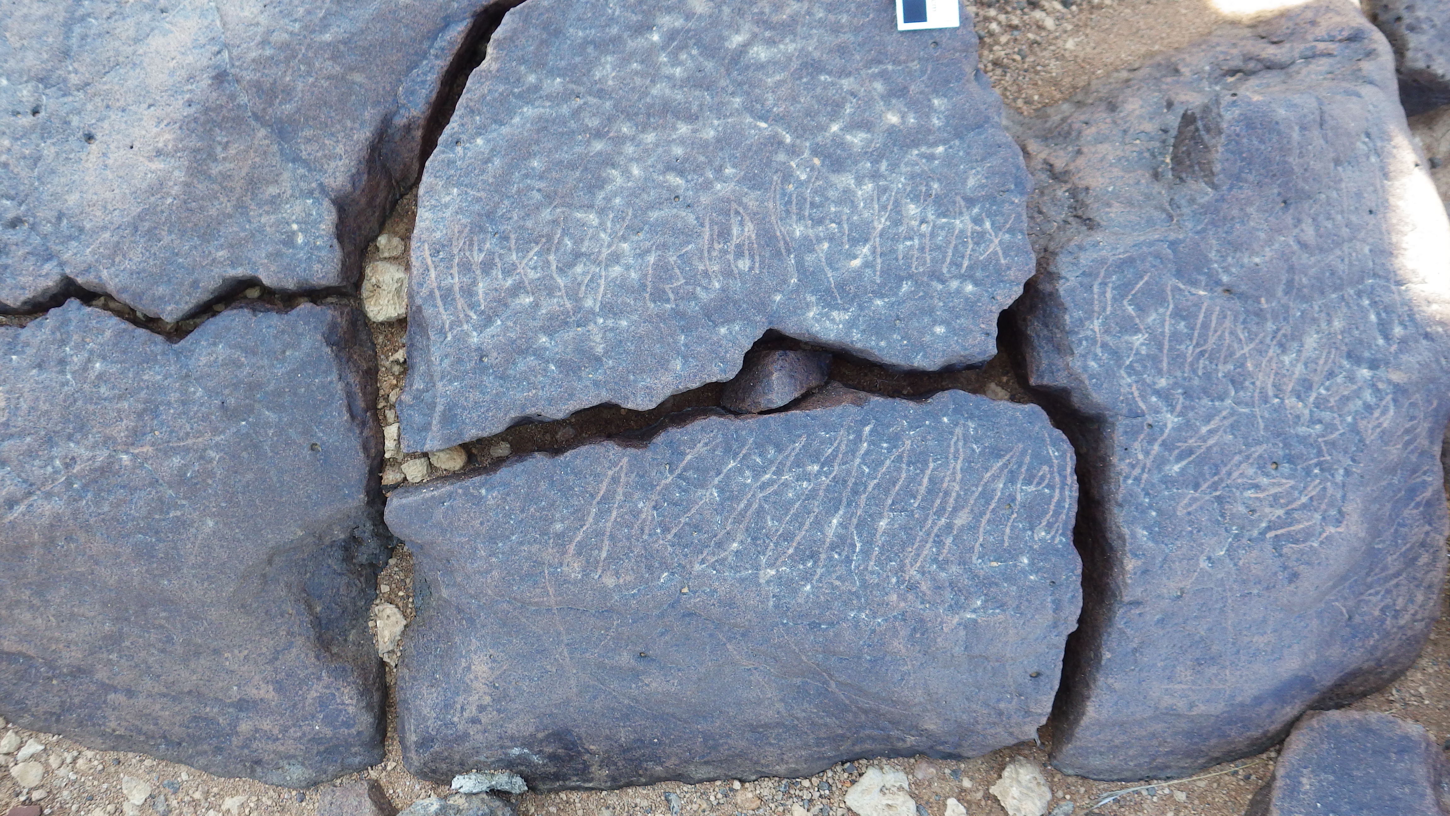 Image of siglum BES20 367