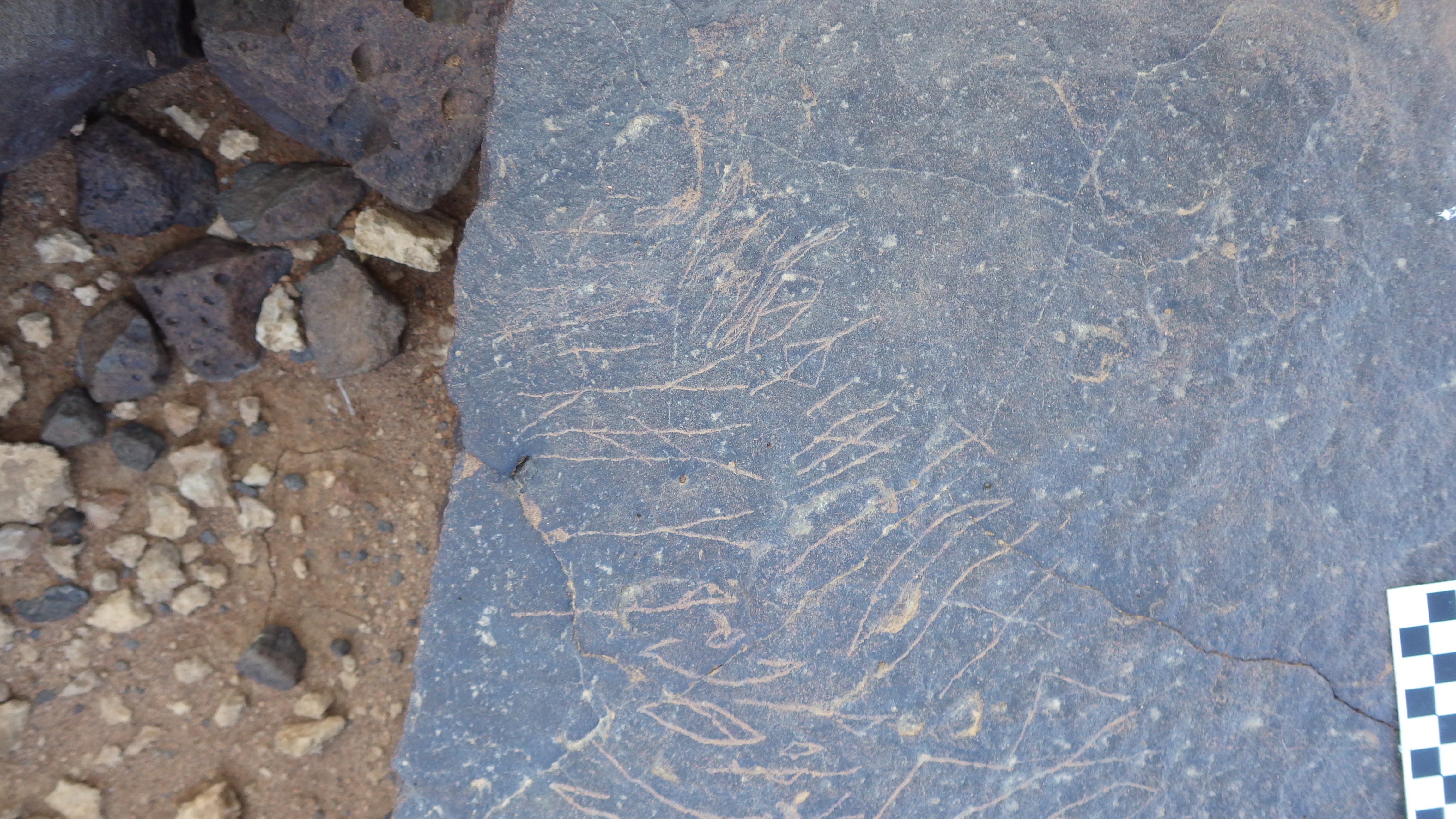 Image of siglum BES20 370