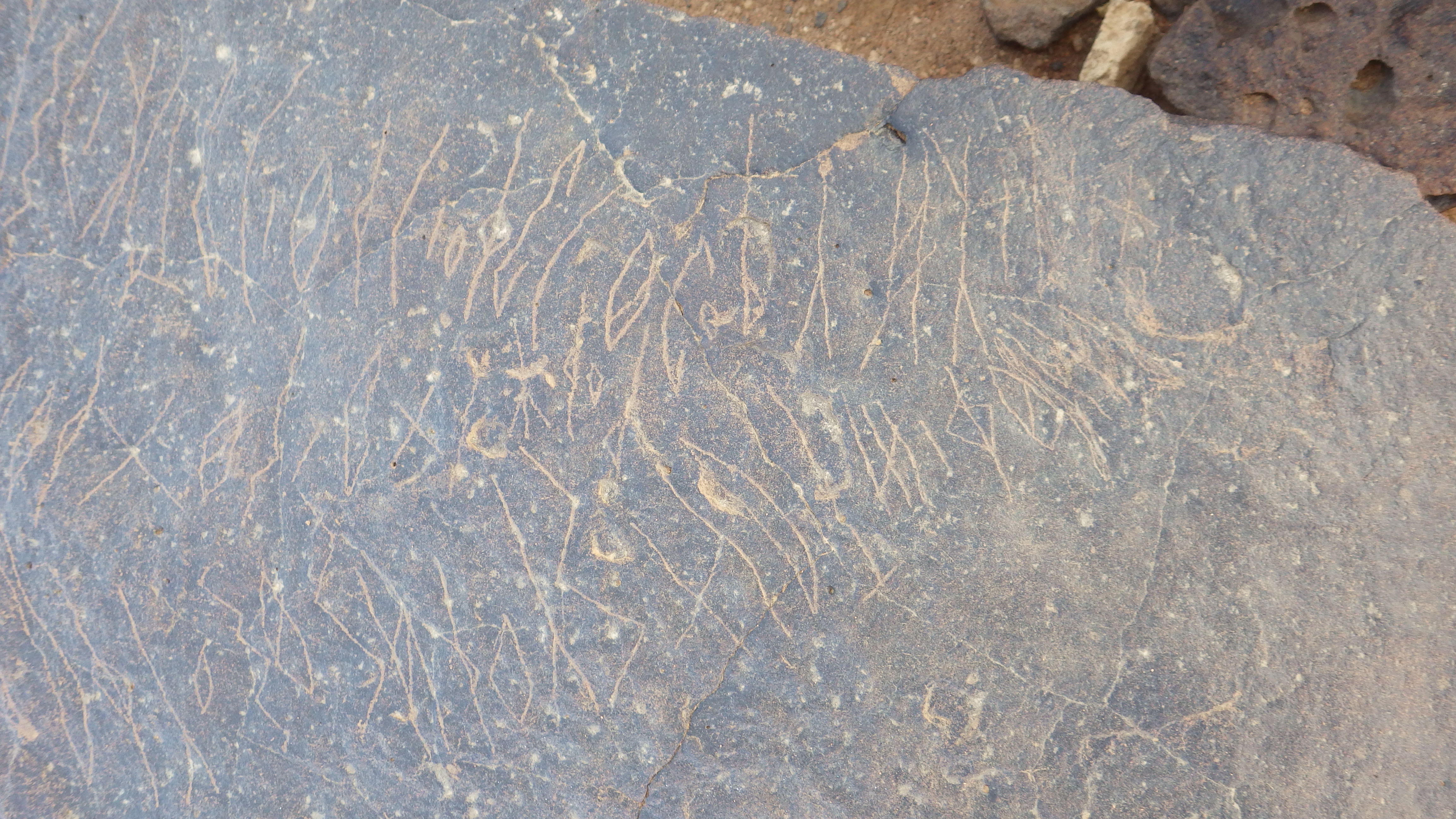 Image of siglum BES20 370