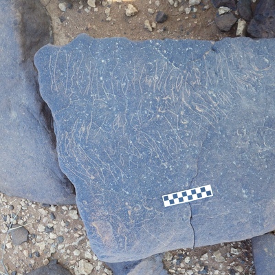 Image of siglum BES20 370