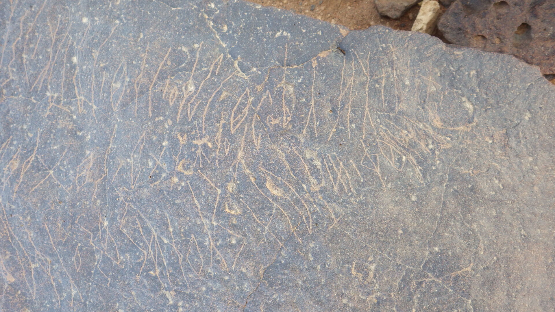 Image of siglum BES20 370