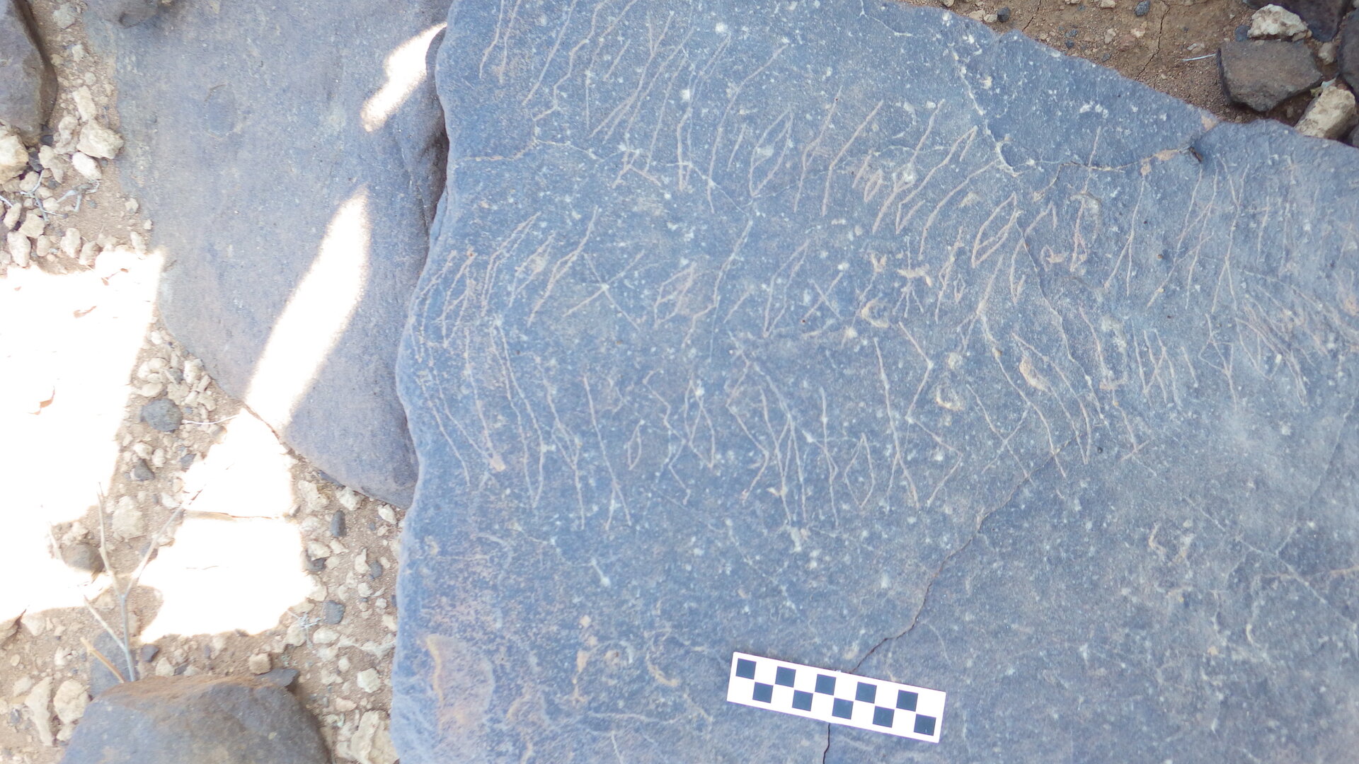 Image of siglum BES20 370