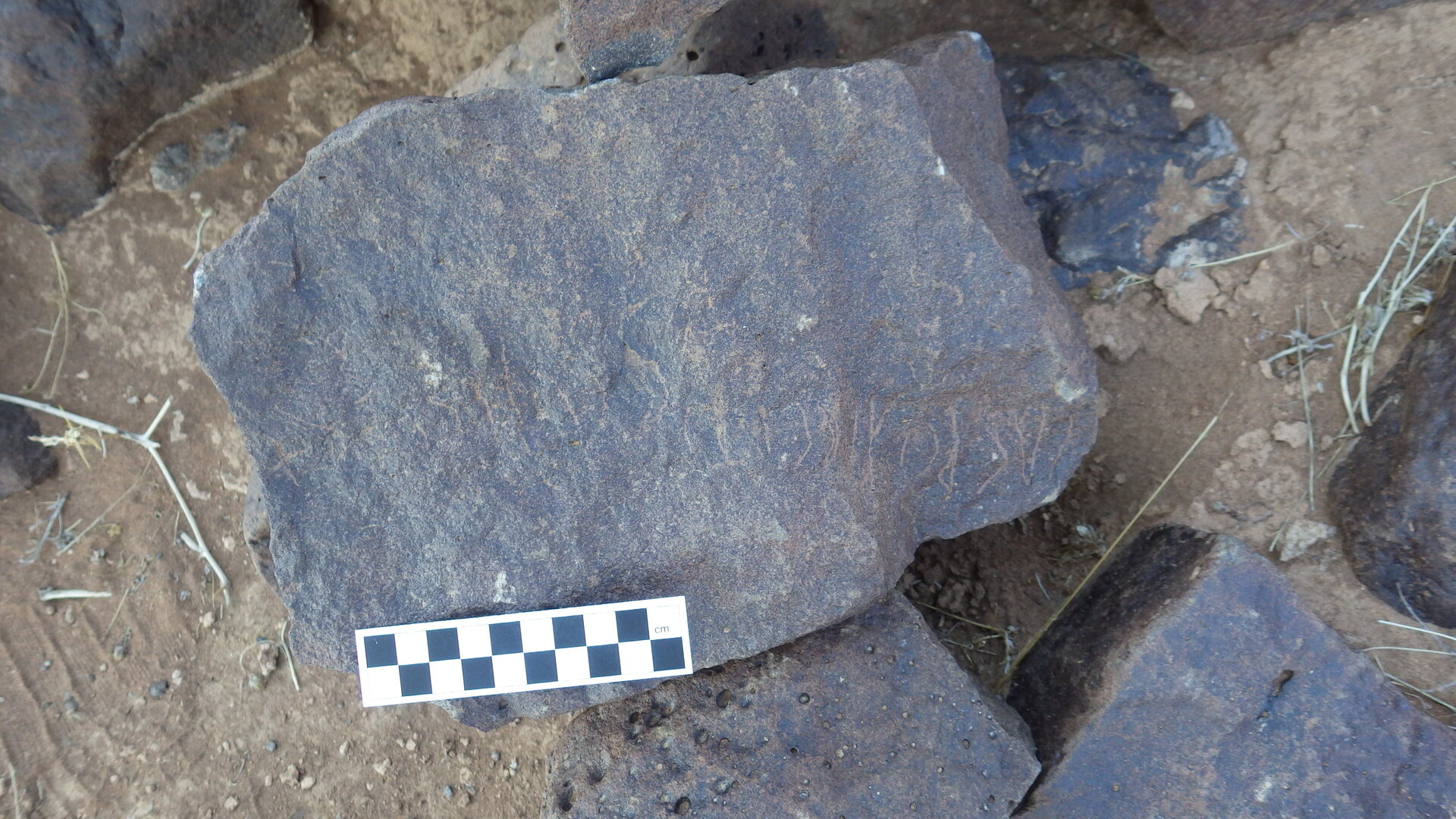 Image of siglum BES20 384