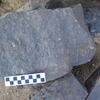 Image of siglum BES20 384