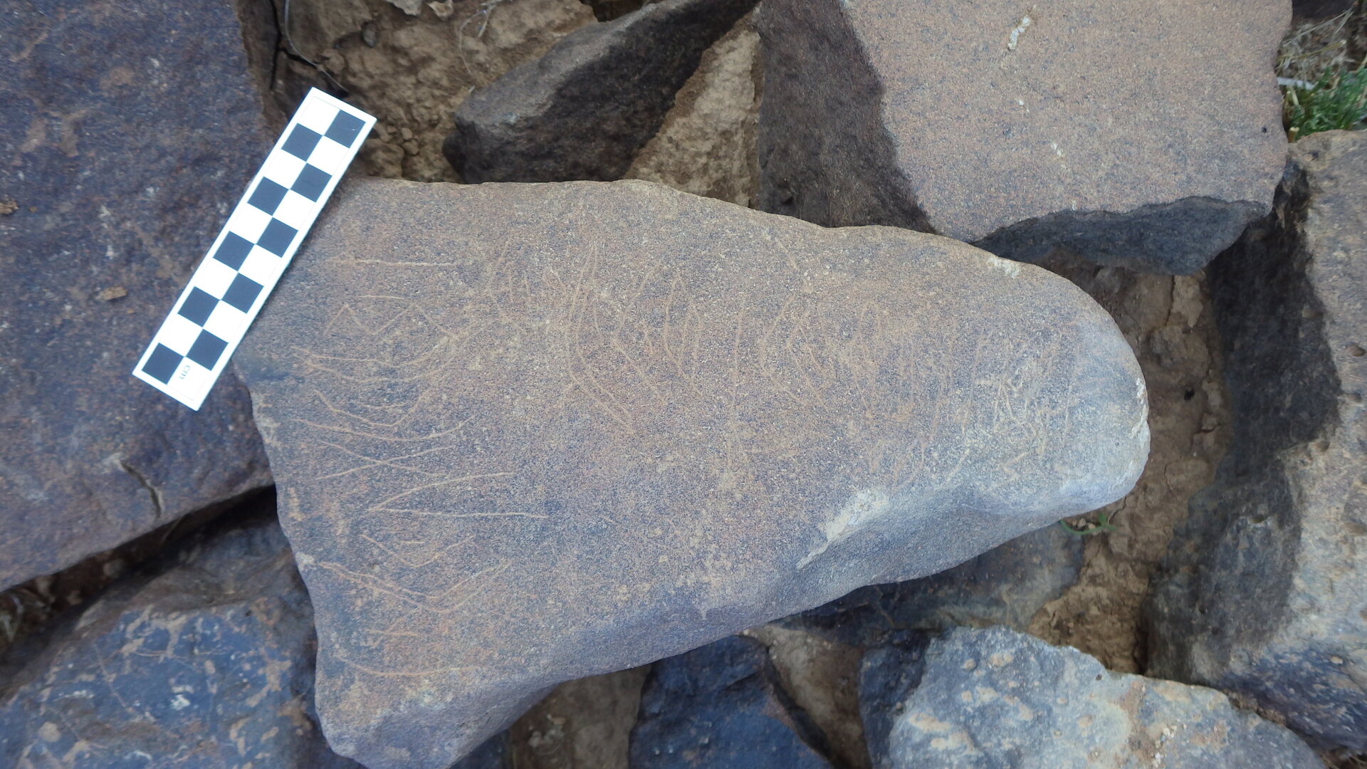 Image of siglum BES20 385