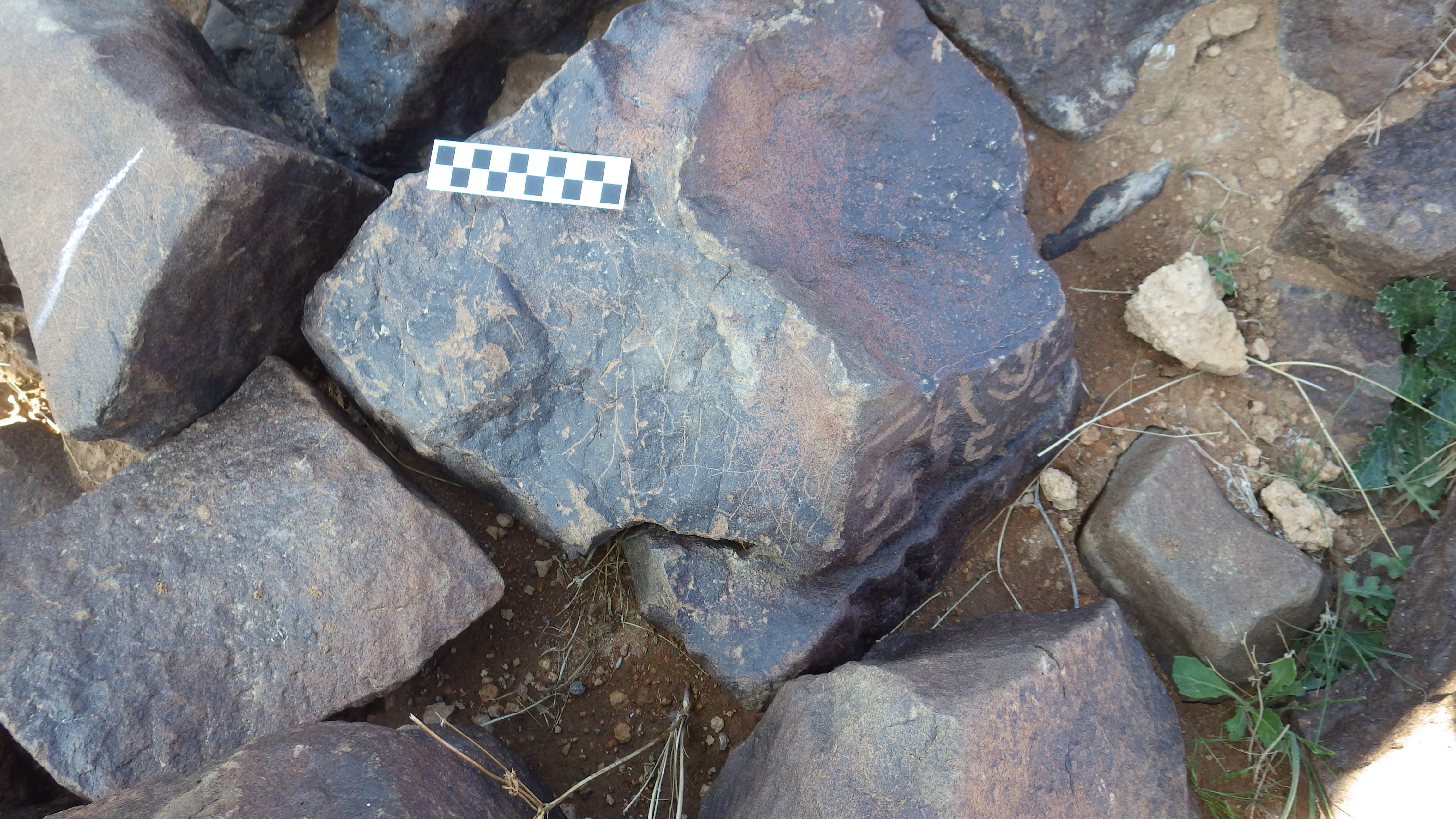 Image of siglum BES20 386