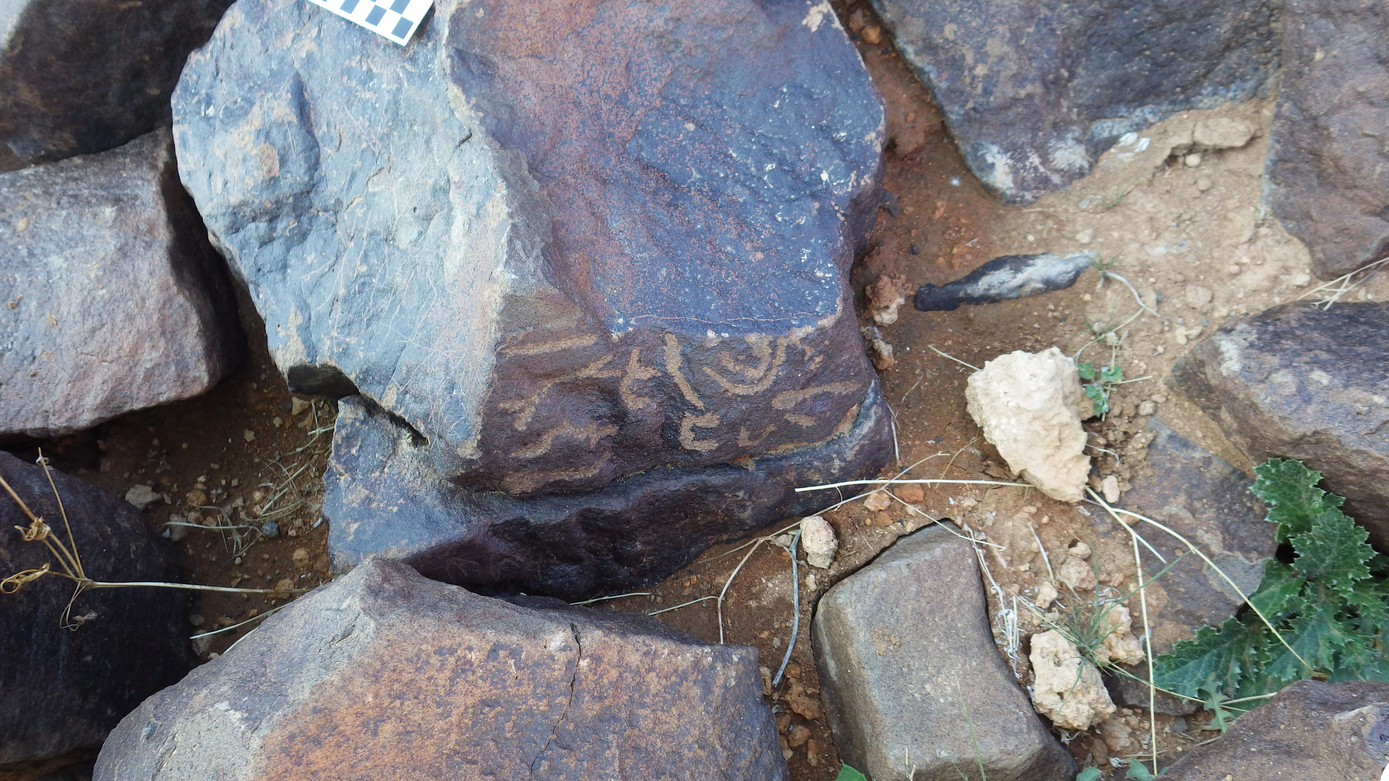 Image of siglum BES20 386