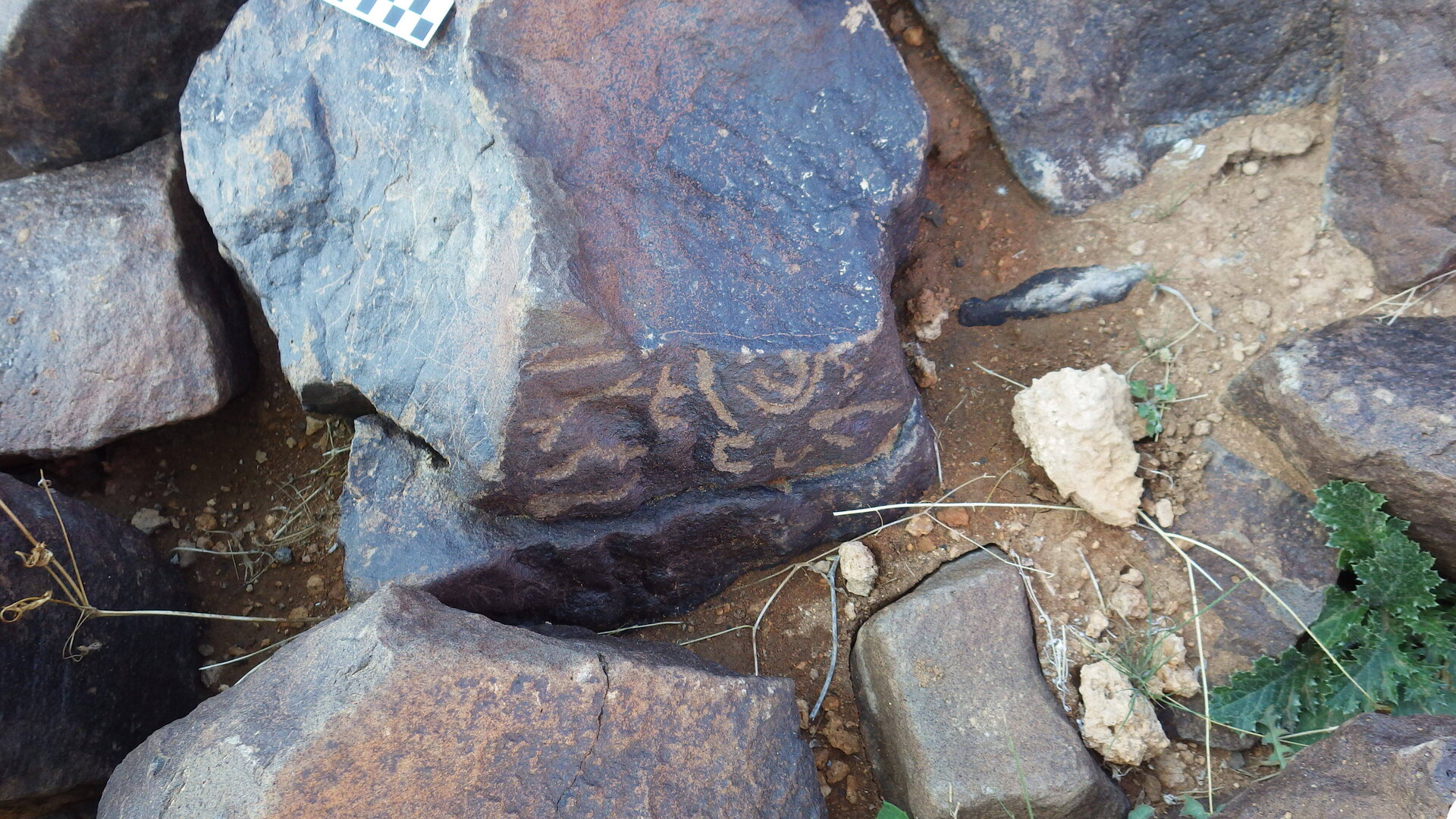 Image of siglum BES20 386