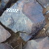 Image of siglum BES20 386