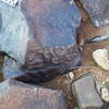 Image of siglum BES20 386