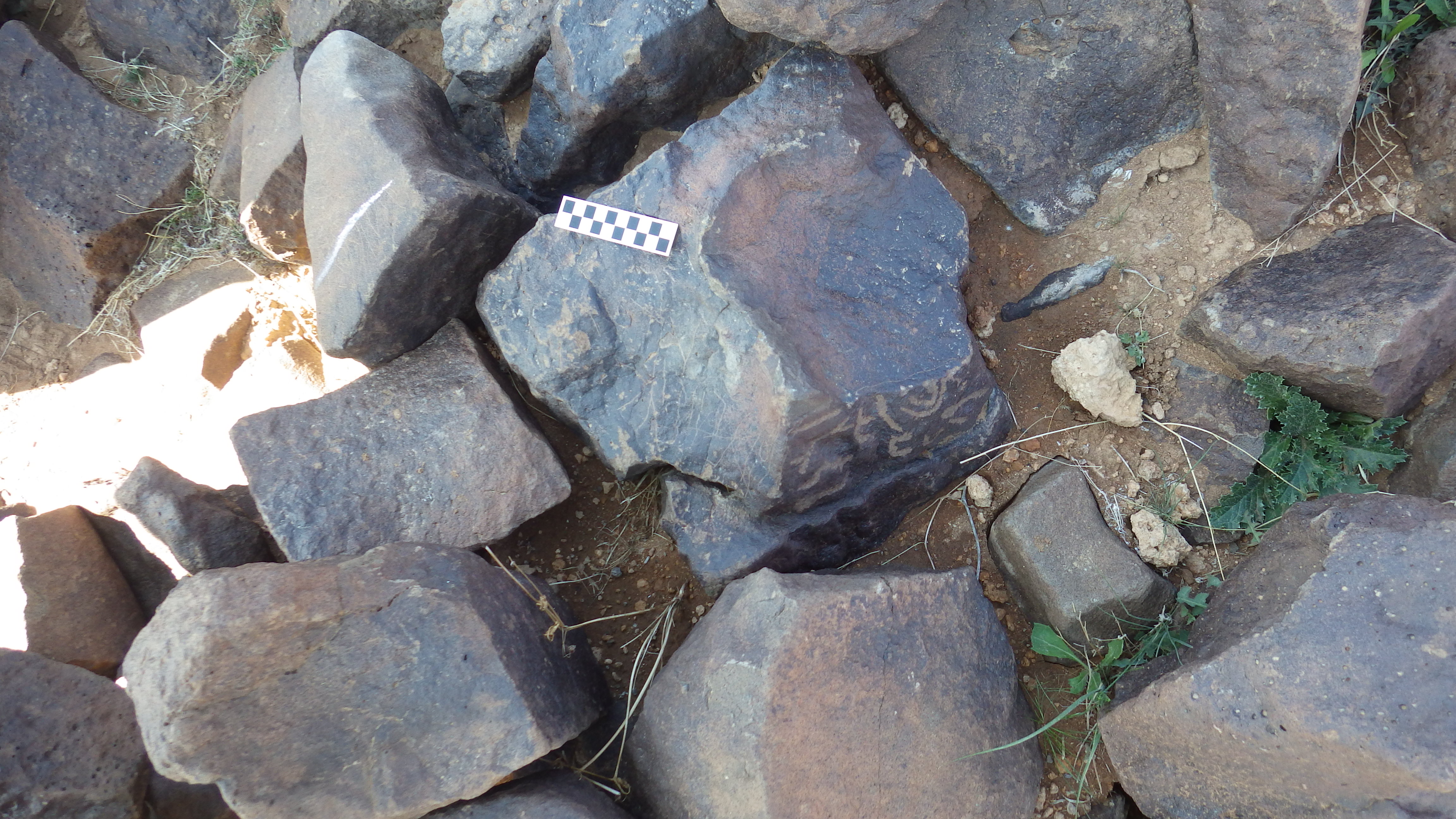 Image of siglum BES20 387