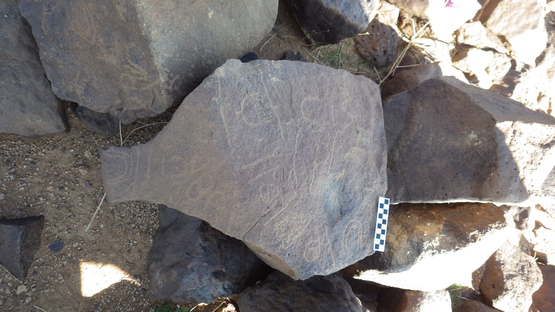 Image of siglum BES20 390