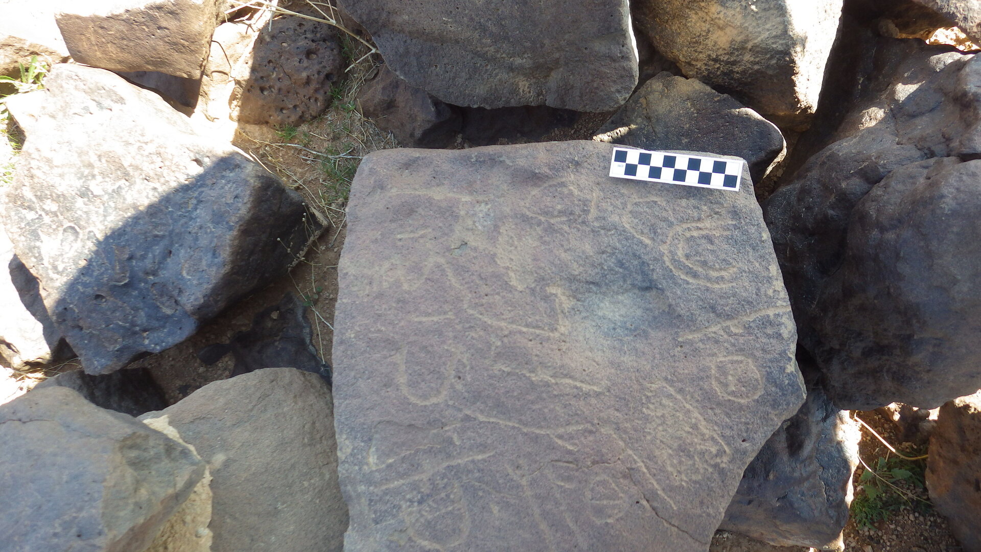 Image of siglum BES20 391