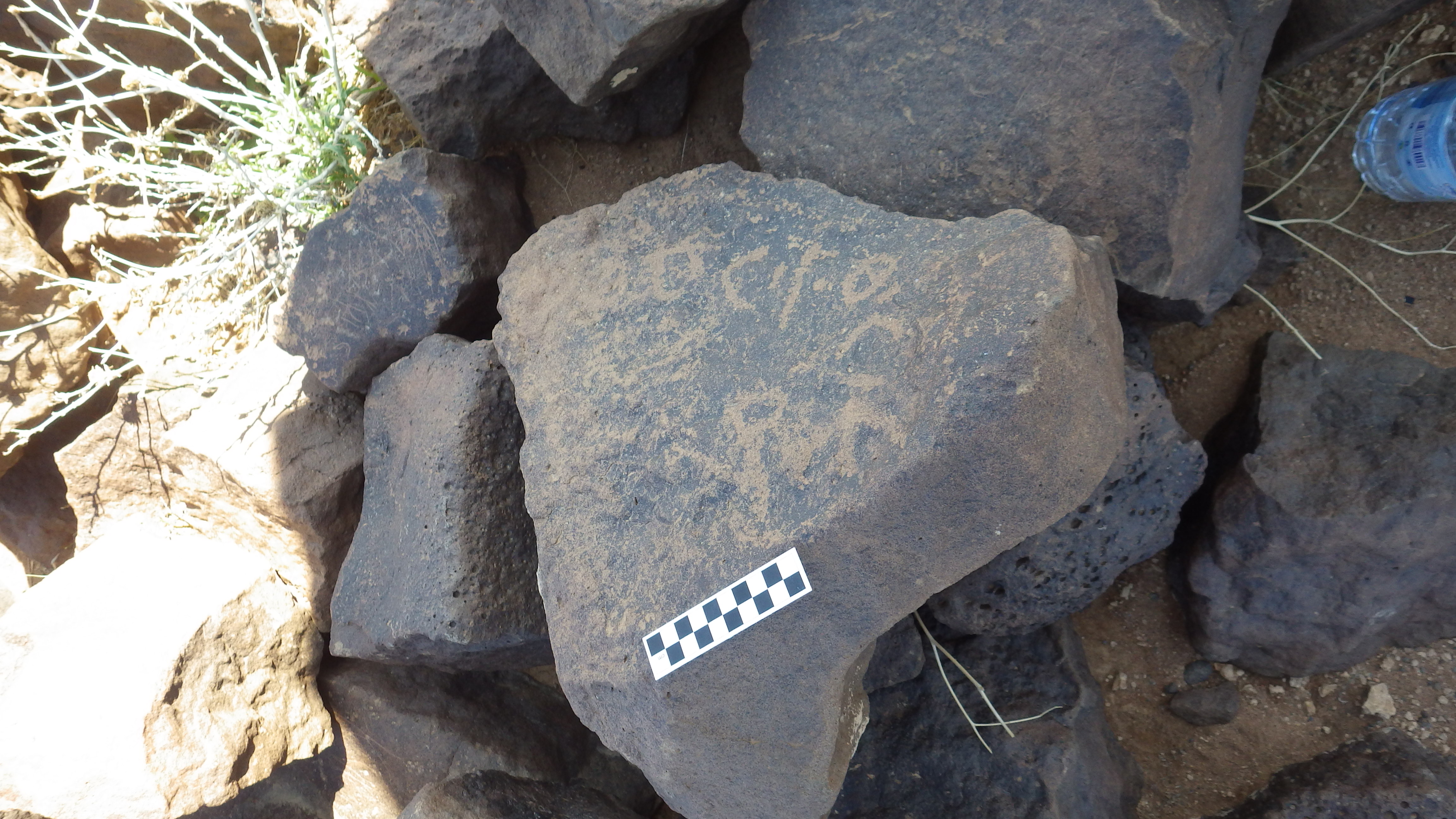 Image of siglum BES20 392