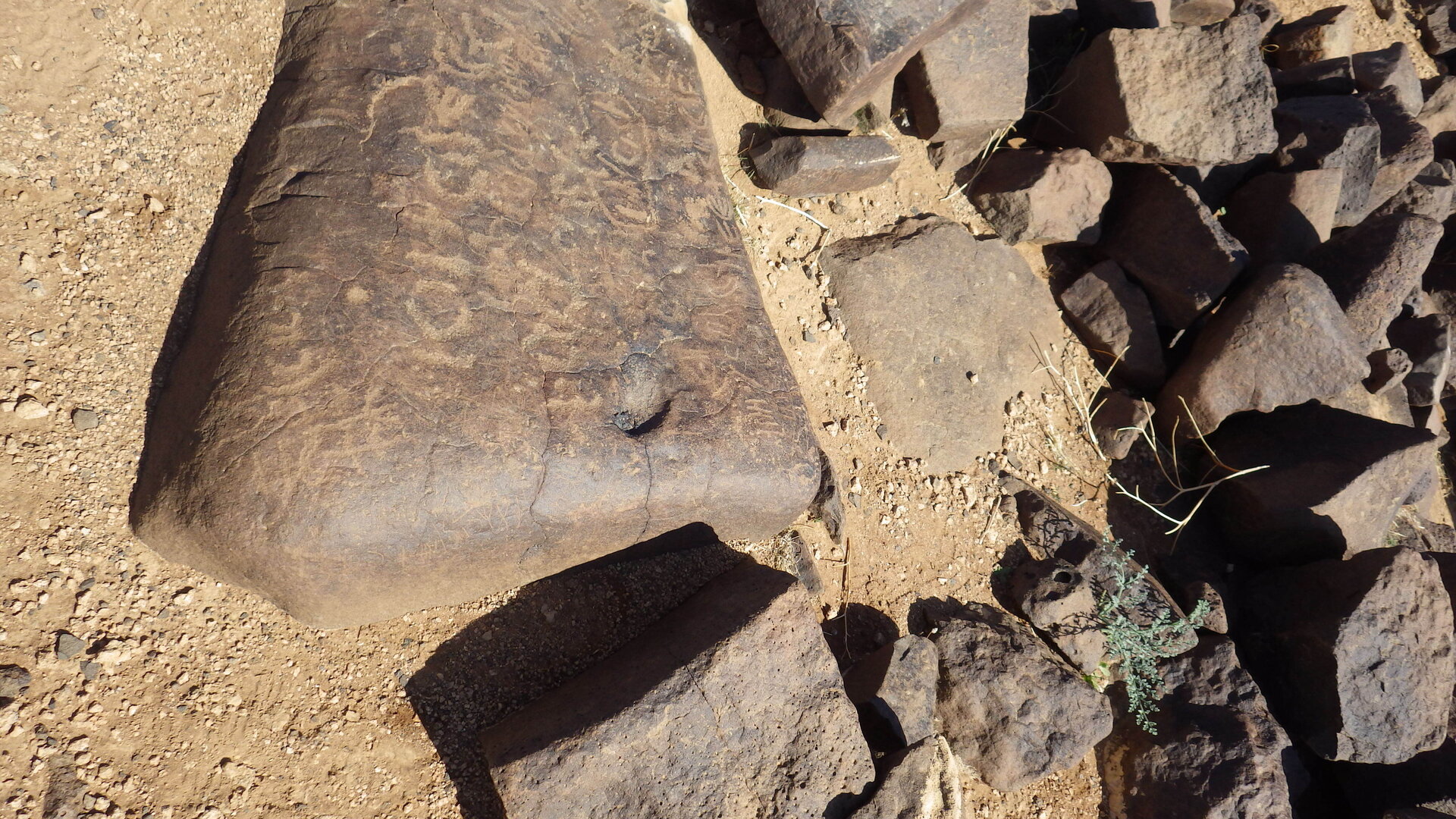 Image of siglum BES20 395