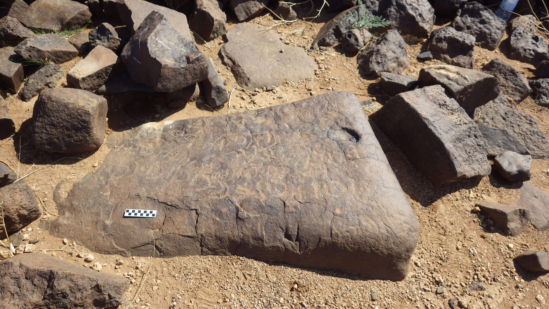 Image of siglum BES20 396