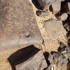 Image of siglum BES20 399