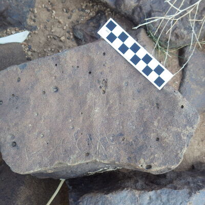 Image of siglum BES20 403