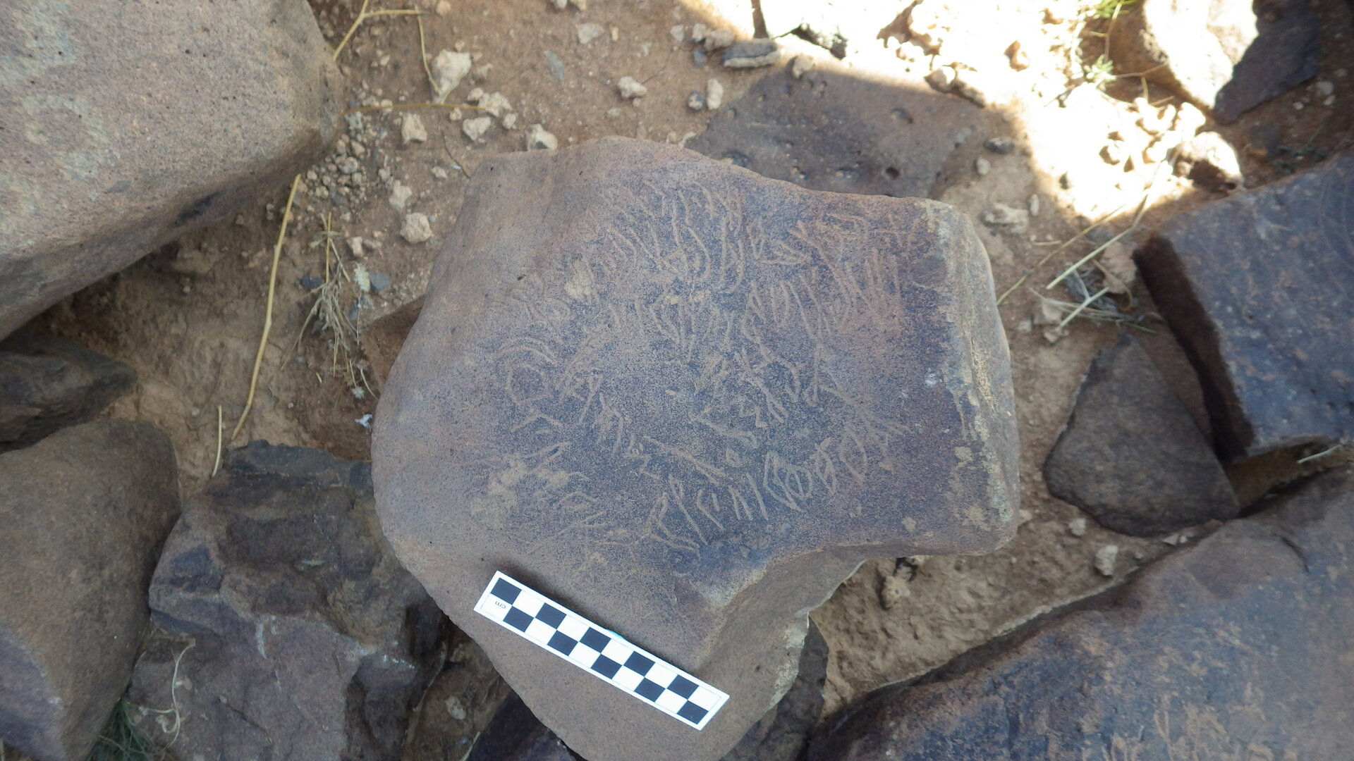 Image of siglum BES20 404