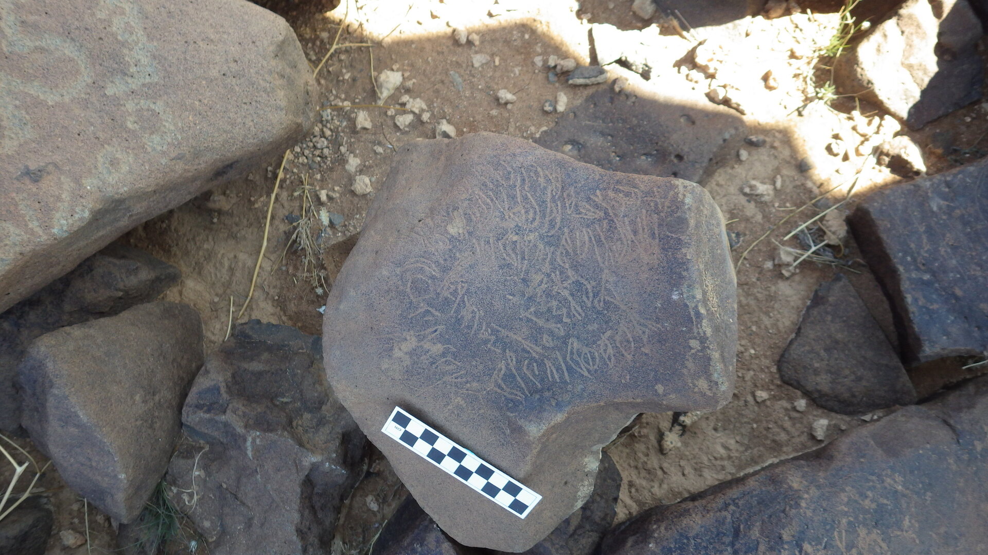 Image of siglum BES20 404