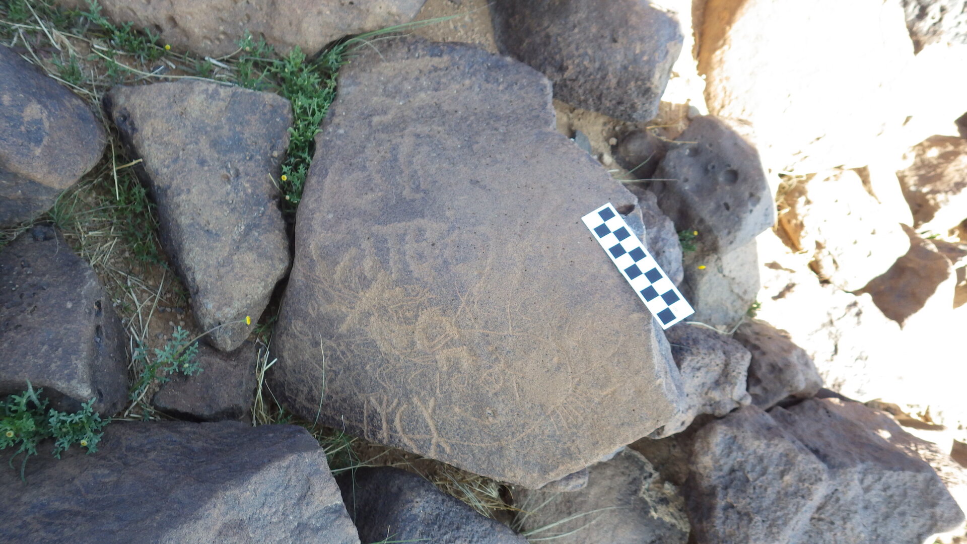 Image of siglum BES20 410