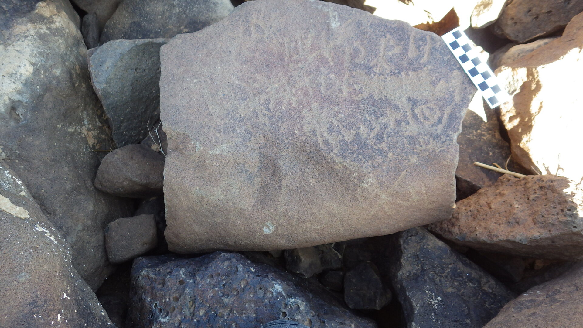 Image of siglum BES20 419
